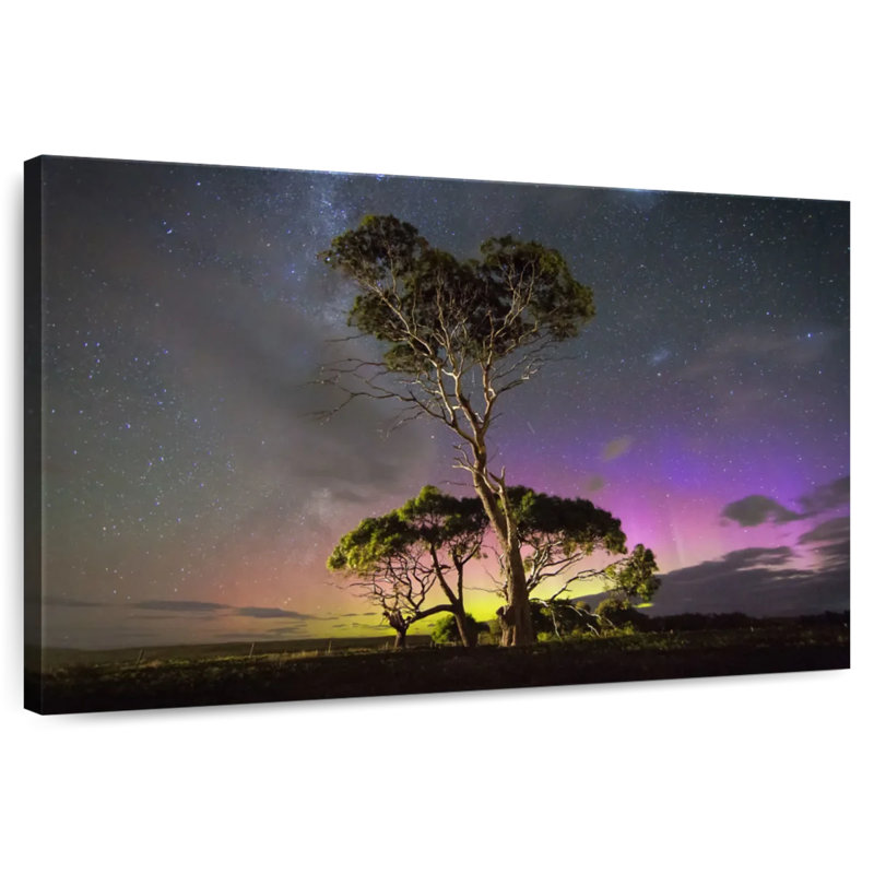 Harnek aurora australis au-dessus des arbres, H 16 po x l 24 po