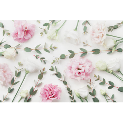 Feuilles d'eucalyptus