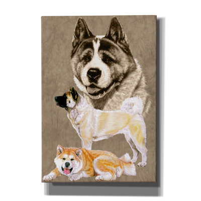 Akita sur toile par Barbara Keith