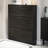 Black Solid wood Shoe Storage