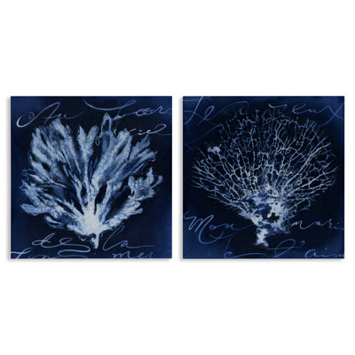 Dark Blue Coral Pieces 2 PC Canvas Wall Art Set by Liz Jardine