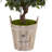 54 " H Faux Foliage Tree