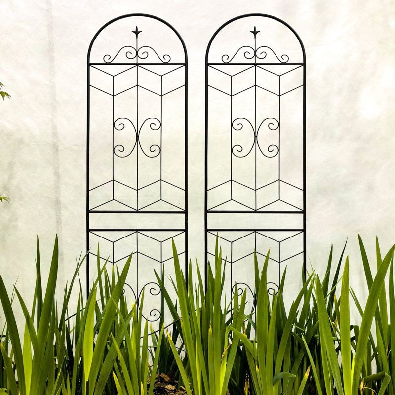 86.7"X19.7" Rustproof Metal Trellis, Garden Plant Climbing Helper, Black, Easy Assembly, & Functional 2 Outdoor Support For Climbers, Simple Strong Material