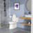Rainlex RX-T29W One-piece Toilet