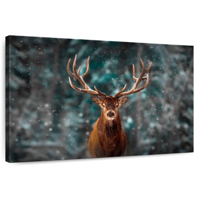 Crowle, le cerf noble des neiges
