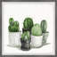 Pointy Spikes Succulents by Parvez Taj - Single Picture Frame Painting-1208013310