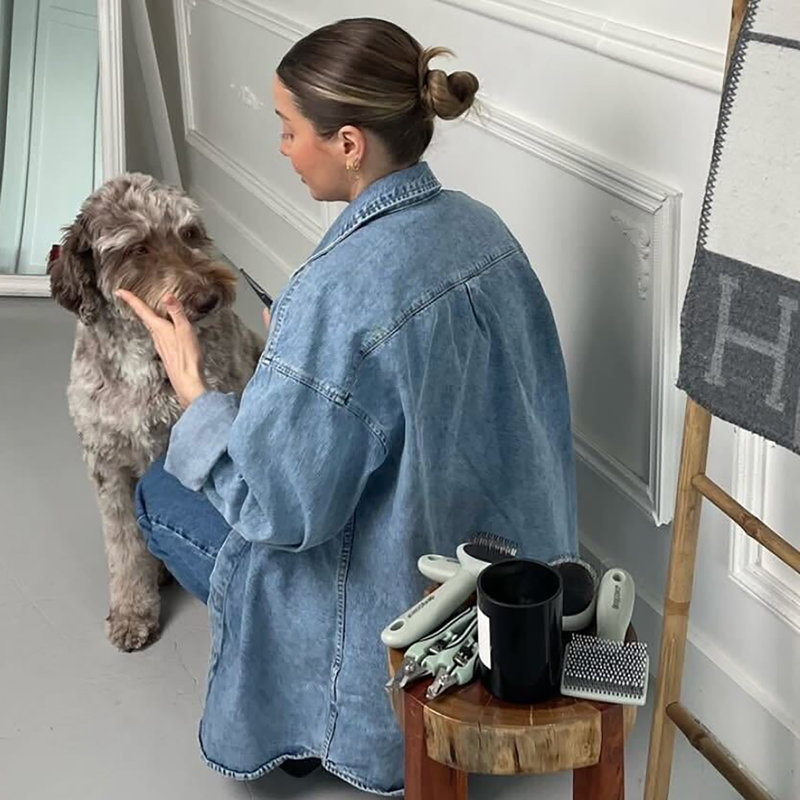 Pet Slicker Brush: Soft