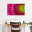 Harberk magnifié Gerbera Daisy-111885633