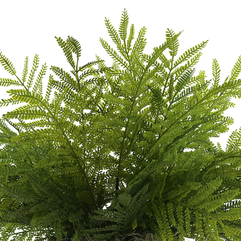 Outdoor UV-Rated Ostrich Fern in Straw Grass Wrapped Pot