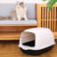 Polyethylene Plastic Enclosed Litter Box with Scoop