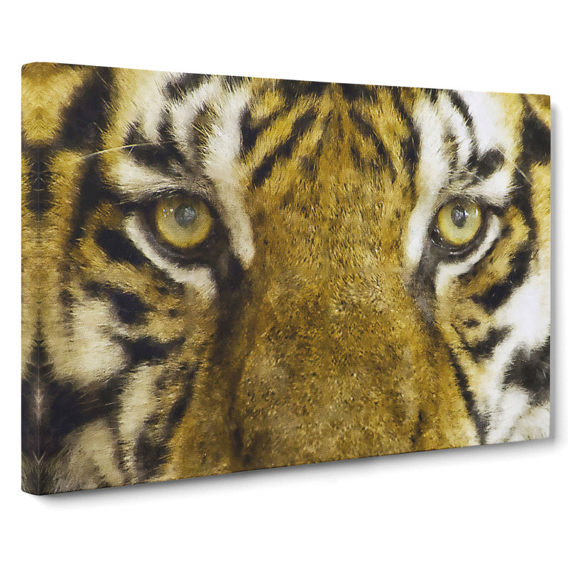 Eye Of The Tiger - Wrapped Canvas Painting, 35cm H x 50cm W x 3cm D
