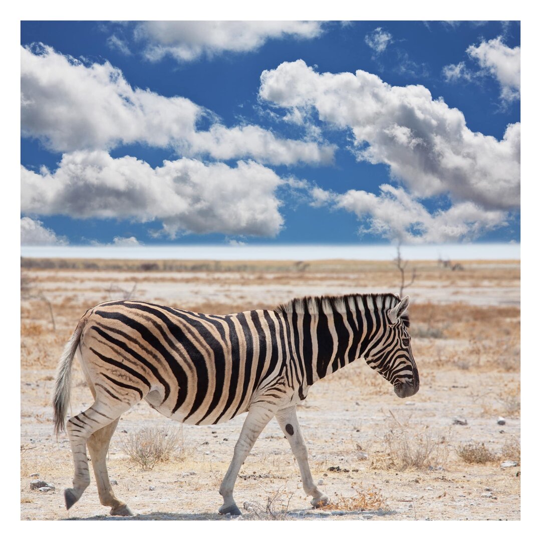 Strukturierte Fototapete Zebra in der Savanne 1,92 m x 192 cm