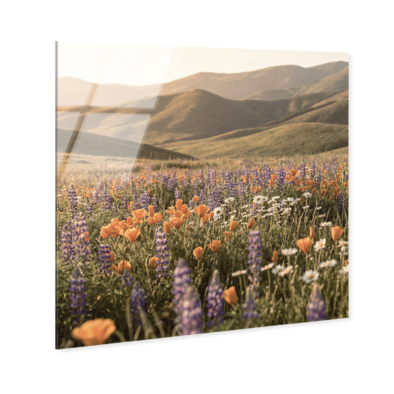 Lavender Hill Print by Oliver Gal, 12" H x 12" W, High-Gloss Acrylic Print