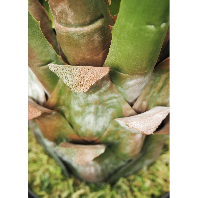 Fausse agave botanique au fini vert, H 40 po x l 17 po x P 17 po