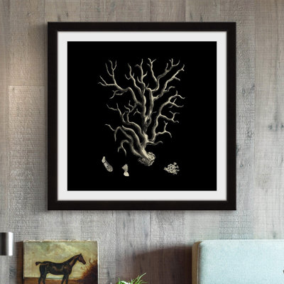"Black & Tan Coral I" Framed Print