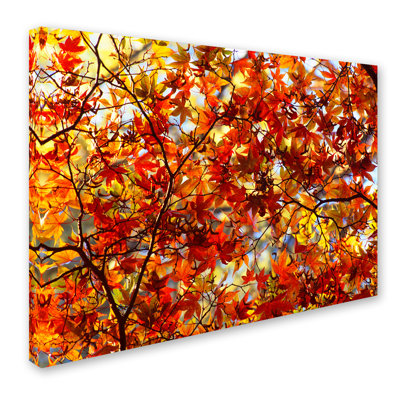 Ann «Autumn Scene», reproduction de photo sur toile tendue Ann