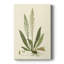 Curtis Ferns III - peinture sur toile tendue-858586997