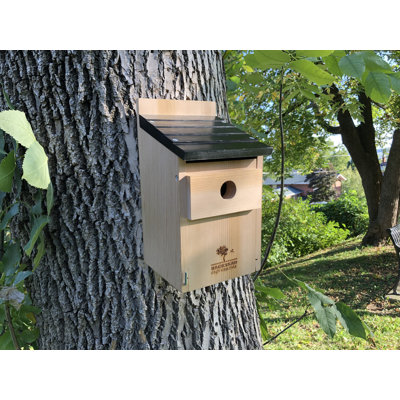 11.8 in. H x 7.1 in. W x 6.3 in. D Wall Rust Resistant Birdhouse
