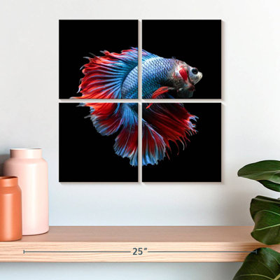 Brampt Blue And Red Betta Fish