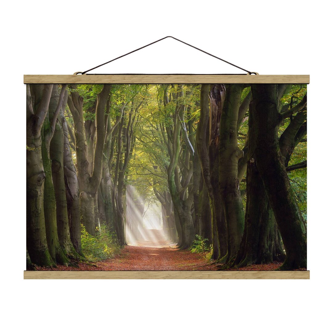 Wandbild Wunderbarer Tag im Wald