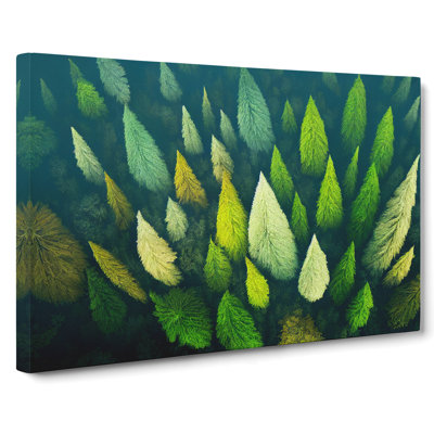 Pine Forest Tree Tops - Wrapped Canvas