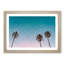 Palm Trees in Sydney Australia in Abstract - Picture Frame Graphic Art Print-55737350-55737357