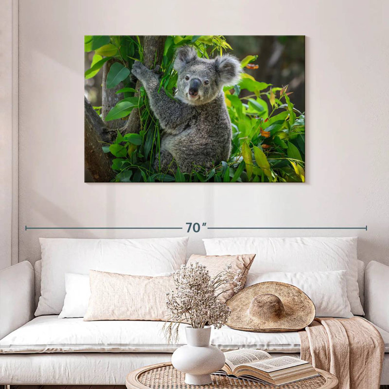 Cute Koala