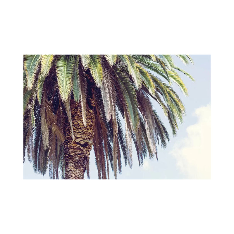 Hollywood 1 Piece Wrapped Canvas Wall Art, 20.32 cm H x 30.48 cm W