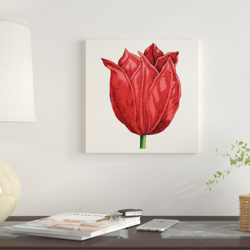 " Tulip Garden II " by Vision Studio, 12" H x 12" W x 0.75"D, Wrapped Canvas, No Matte
