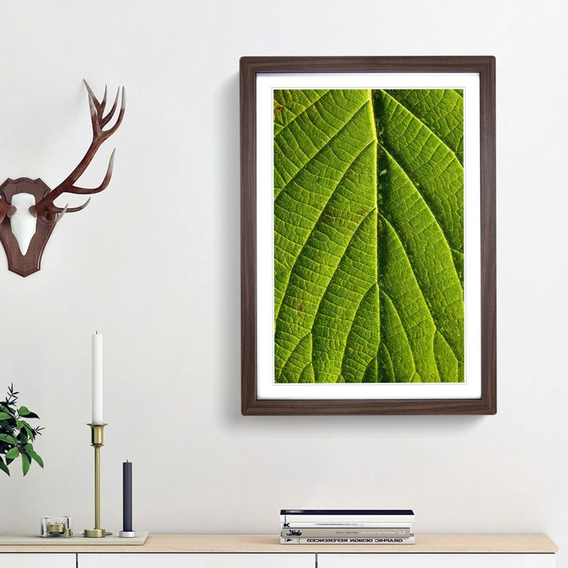 Leaf Pathways - Picture Frame Painting Print, 36cm H x 27cm W x 2cm D, Walnut Framed