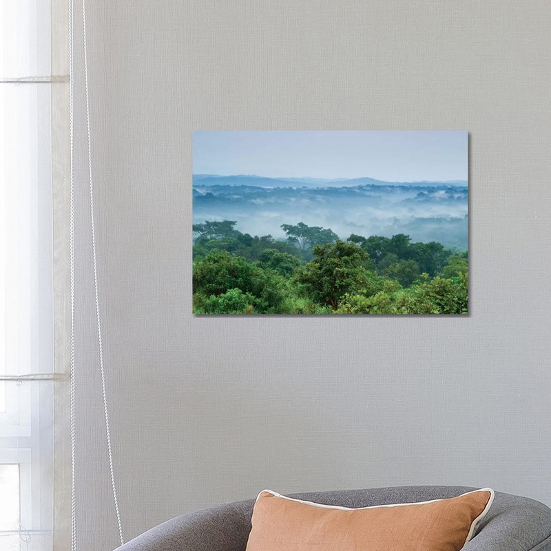 Tropical Rainforest, Kibale National Park, Western Uganda by Sebastian Kennerknecht - Wrapped Canvas Print