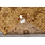 Tapis Agra transitionnel en laine, noué à la main, couleur or et beige, 2,36 m x 3,07 m