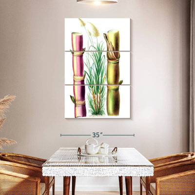 Harnek Sugarcane Stalks