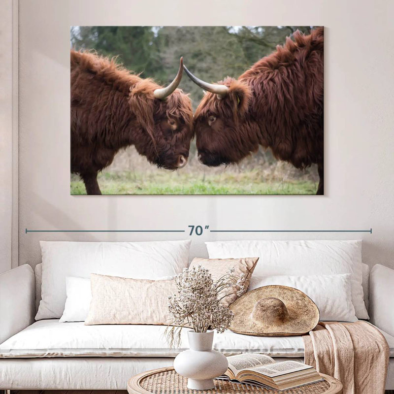 Brampt Highland Cow Clash, 34" H x 51" W