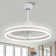 Chantrice 24" Reversible LED Ceiling Fan with Light and Remote, 6-speed Dimmable Ceiling Fan
