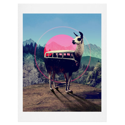 Llama van, impression