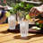 Shatterproof Acrylic Highball Tumblers