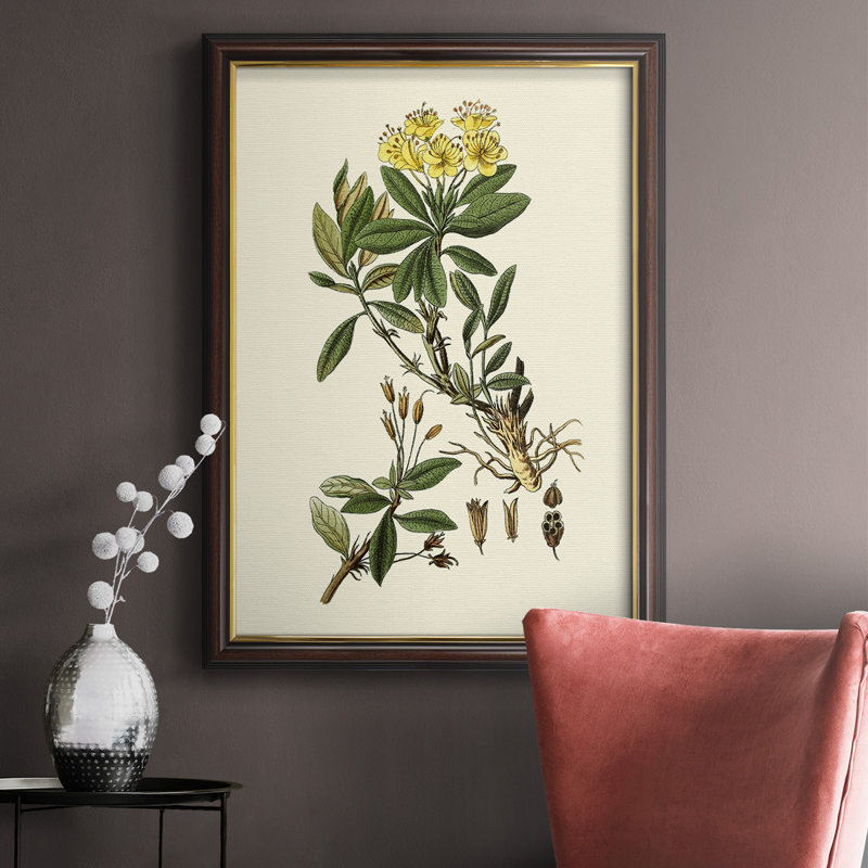 Toile encadrée de qualité supérieure Olive Greenery IV - prête à être accrochée, H 20 po x l 16 po x P 2,5 po