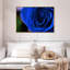 Bleu rose arbuste-968050426-968050420