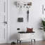 Baneen 8 Pair Shoe Storage Cabinet-986083108