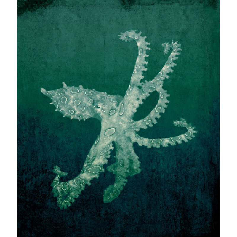 Marine Collection VI Print by GI Lab, Glass Coat, 48" H x 36" W x 1.5" D