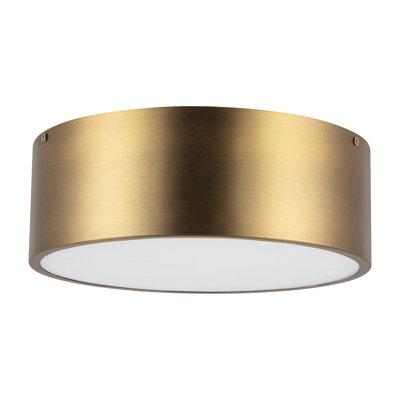 Mossy 2-Light Flush Mount