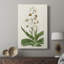 Flore Albo I - Gallery Cavas