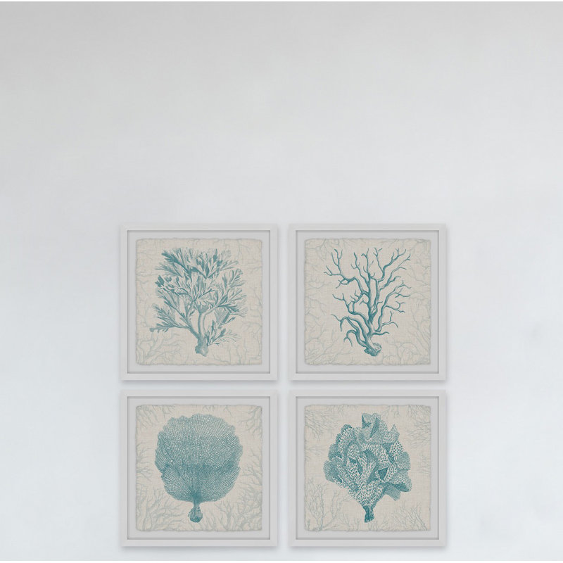 Coral Group Quadrupych - ensemble de 4 reproductions d'art encadrées, H 12 po x l 12 po x P 1,5 po