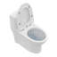 Toilette allongée compacte une pièce à double chasse 1,1 / 1,6 GPF Grosofi en blanc pour économiser de l'espace (siège inclus)