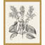 Bessler Study Neutral 10' Framed Graphic Art Print on Glass