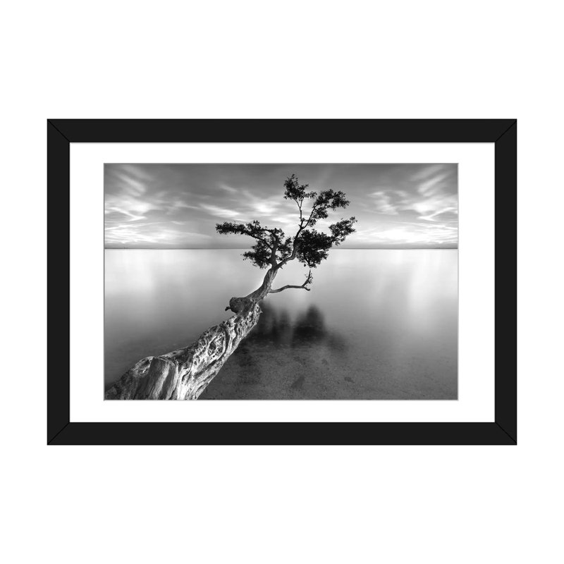 « Water Tree XIII », reproduction de photo sur toile tendue, Papier beaux-arts encadré noir, Blanc