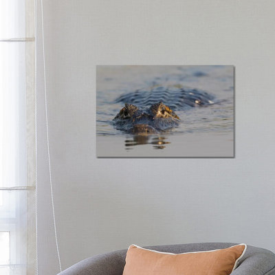Yacare Caiman by Ken Archer - Wrapped Canvas Gallery-Wrapped Canvas Giclée