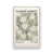 Opaque White Floater Framed