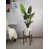 Golden White/Dark Walnut est en rupture de stock